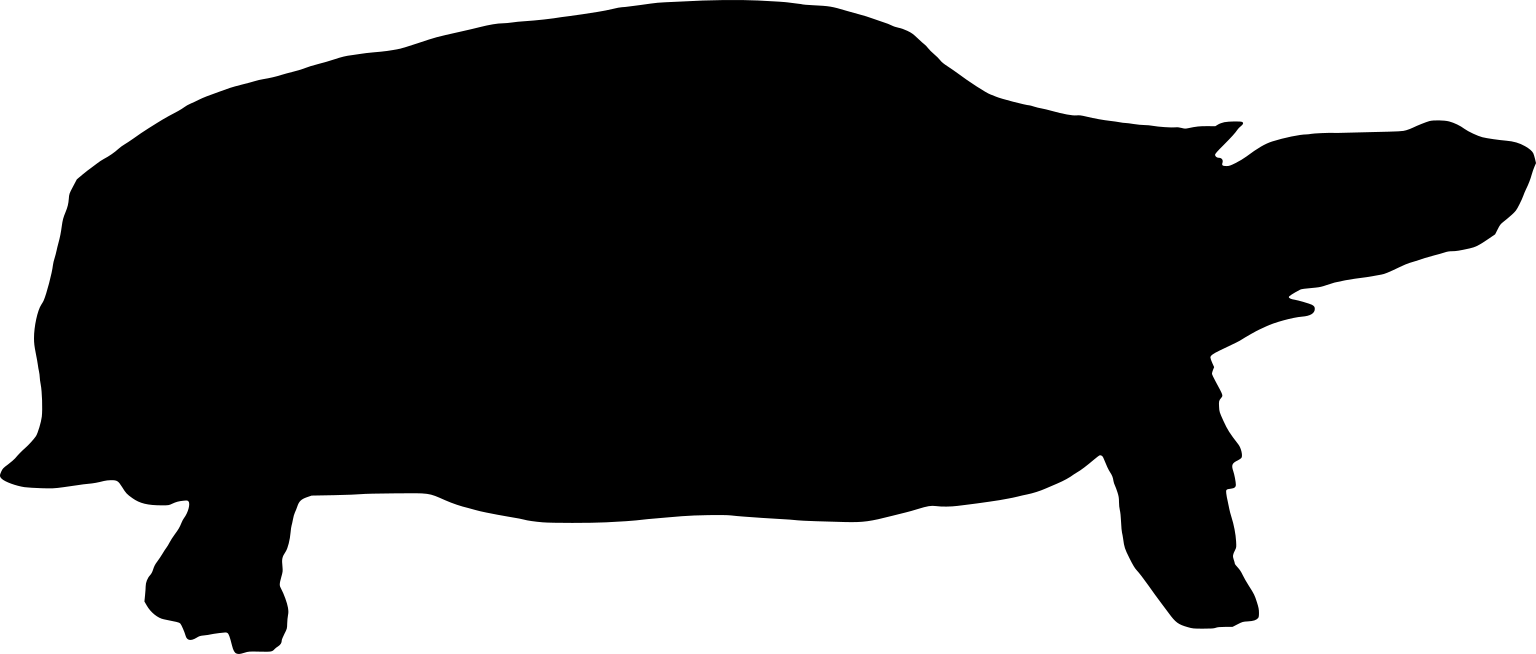 Kinixys erosa