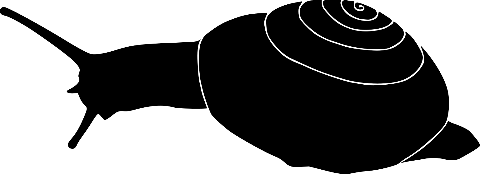 Zonites algirus