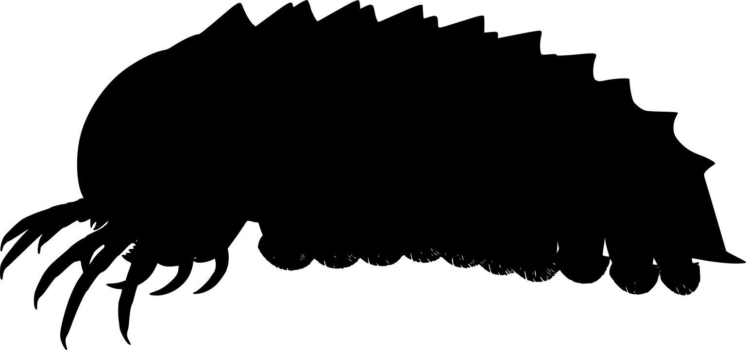 Mollisonia plenovenatrix