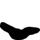 Contramyzostoma bialatum