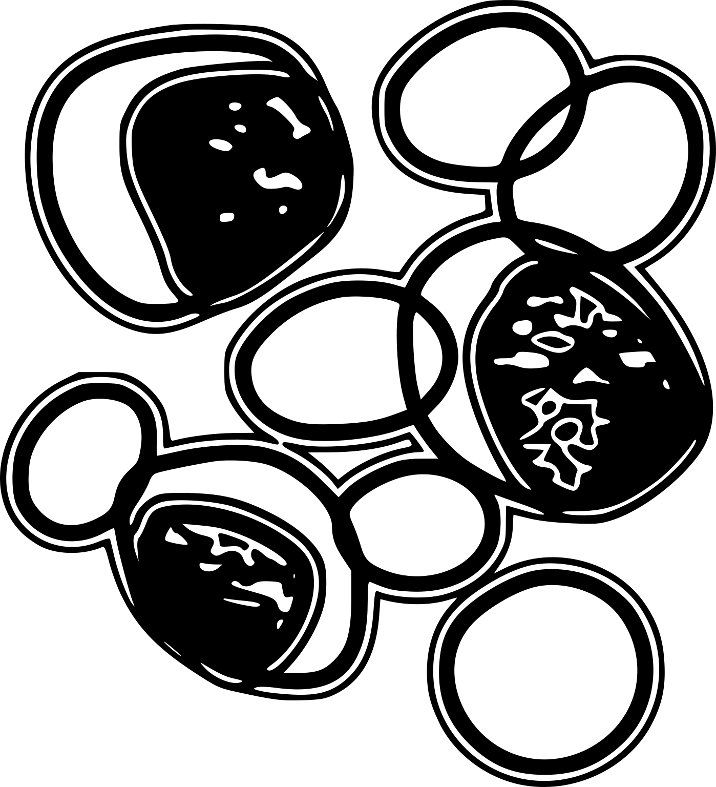 Chlamydiia