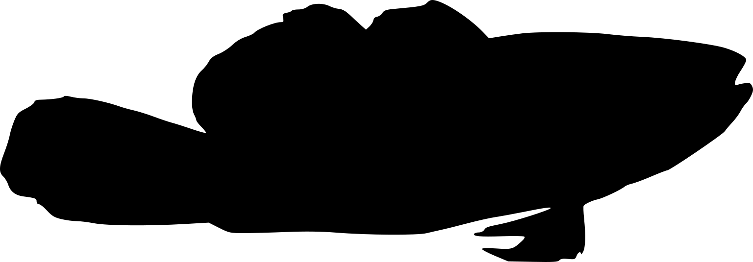 Dormitator latifrons