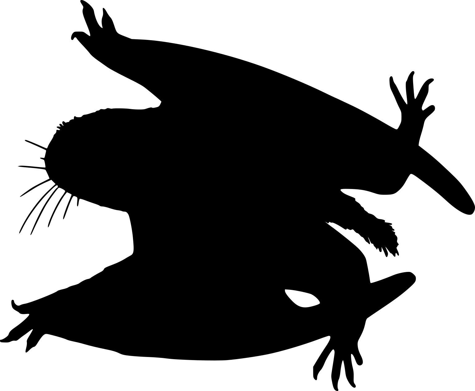 Batrachognathus volans