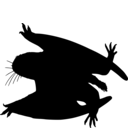 Batrachognathus volans