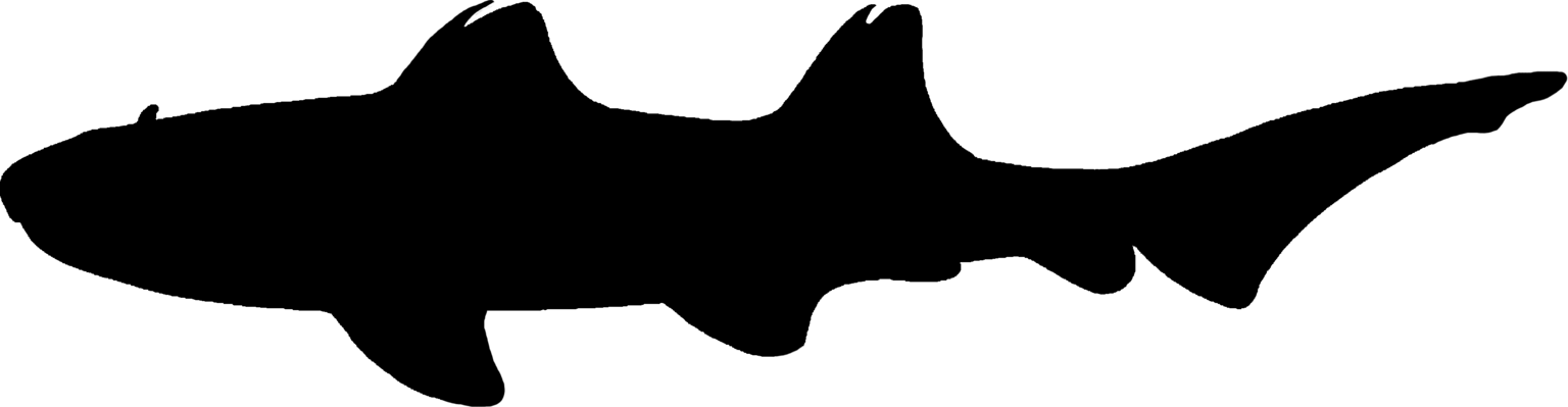 Meristodonoides
