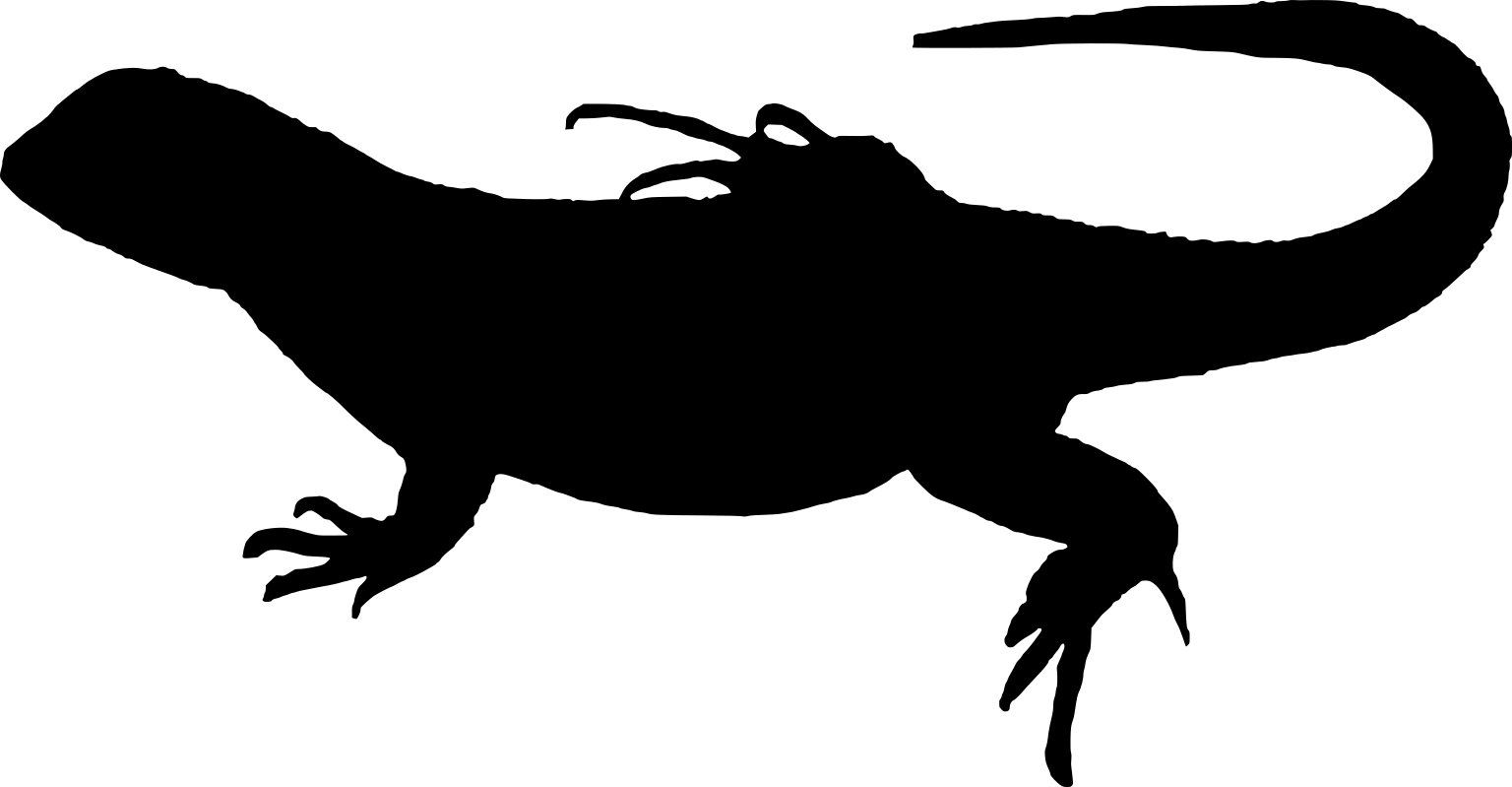 Leiocephalus carinatus