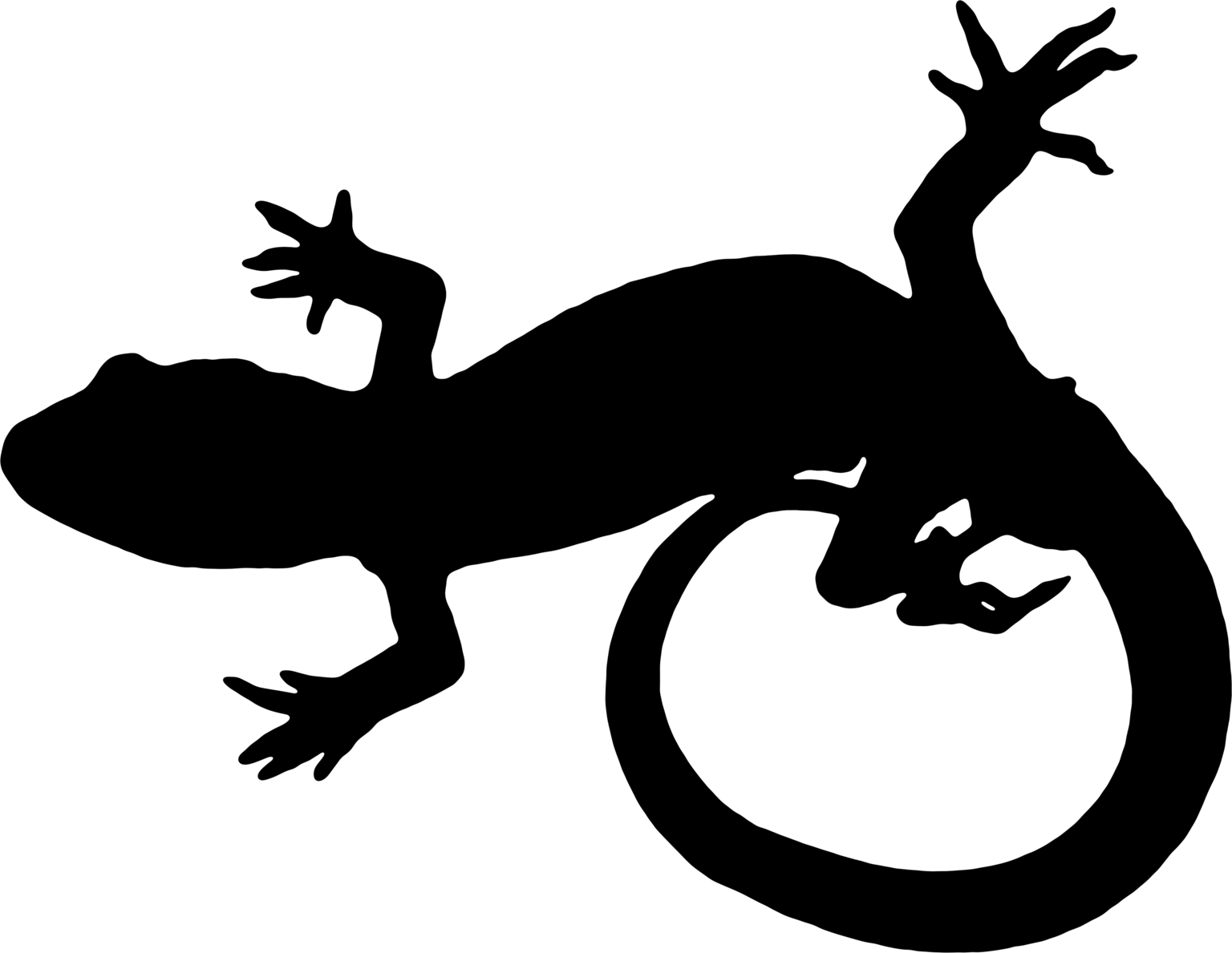 Naultinus manukanus