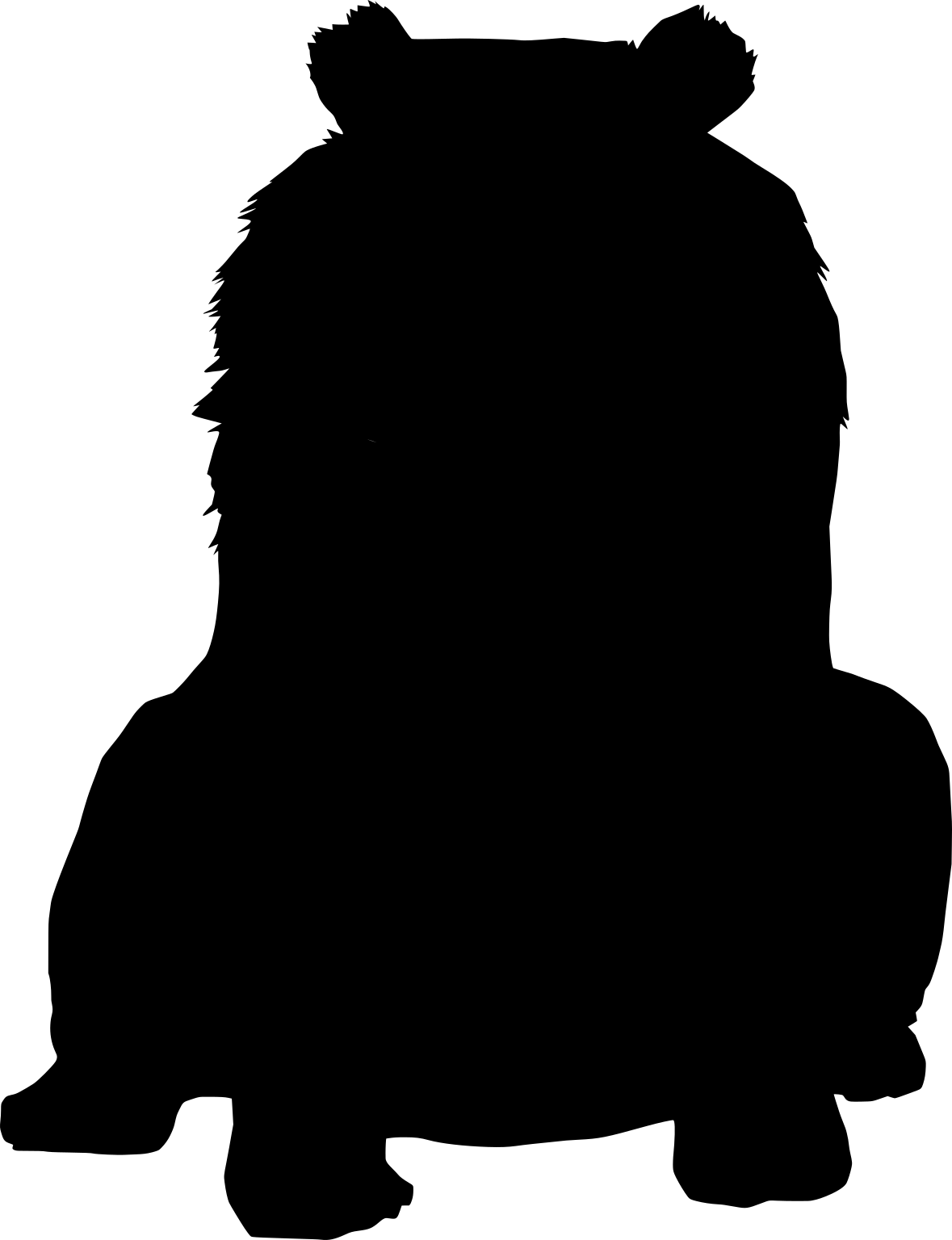 Helarctos malayanus
