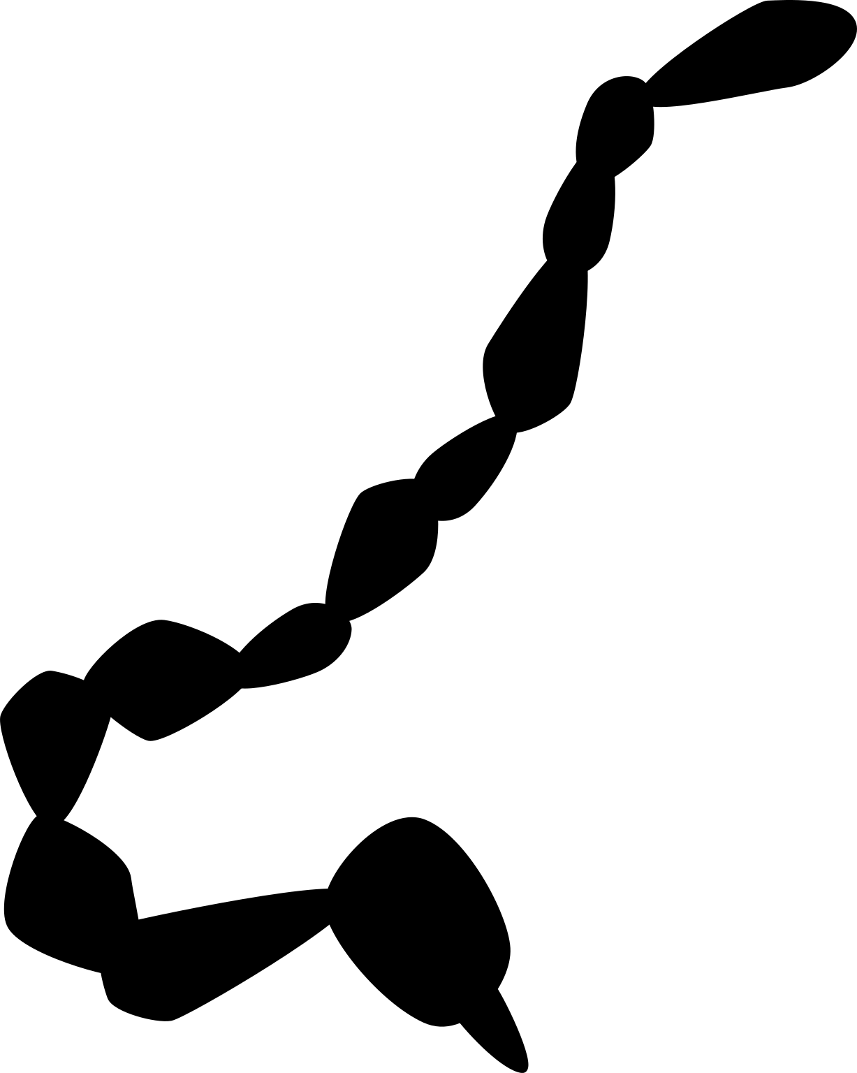 Coriobacterium glomerans