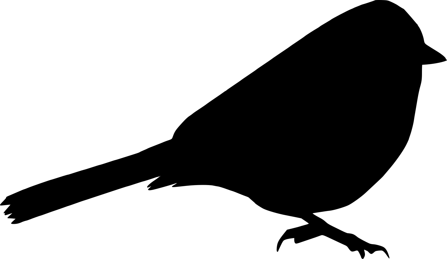 Zonotrichia