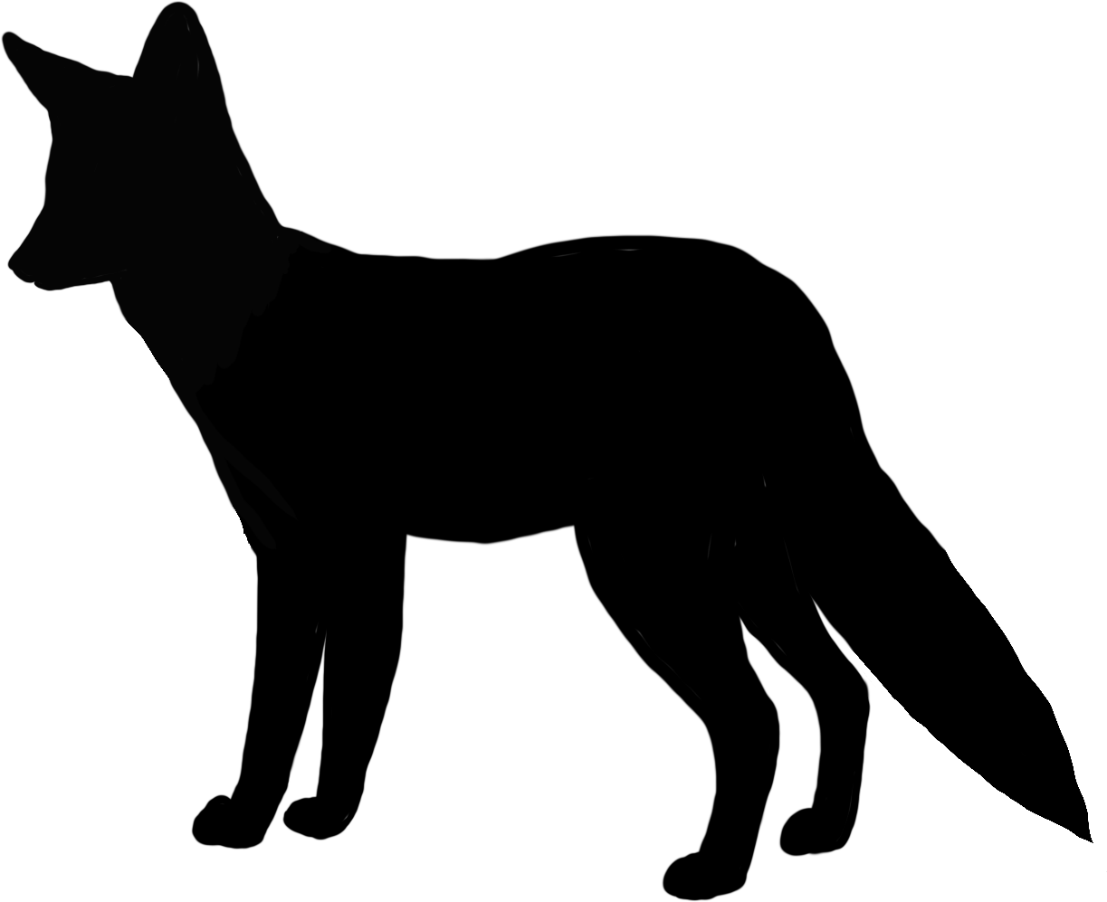 Lycalopex sechurae