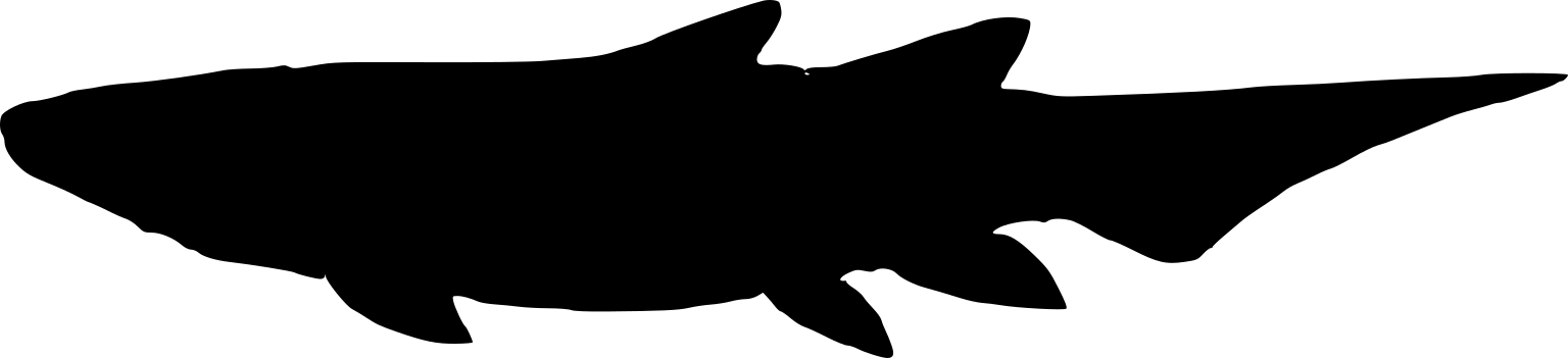 Tungsenia paradoxa