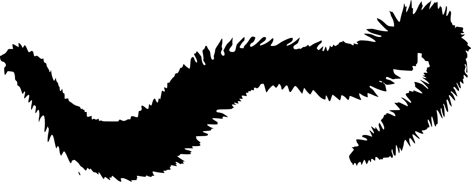 Nereis virens