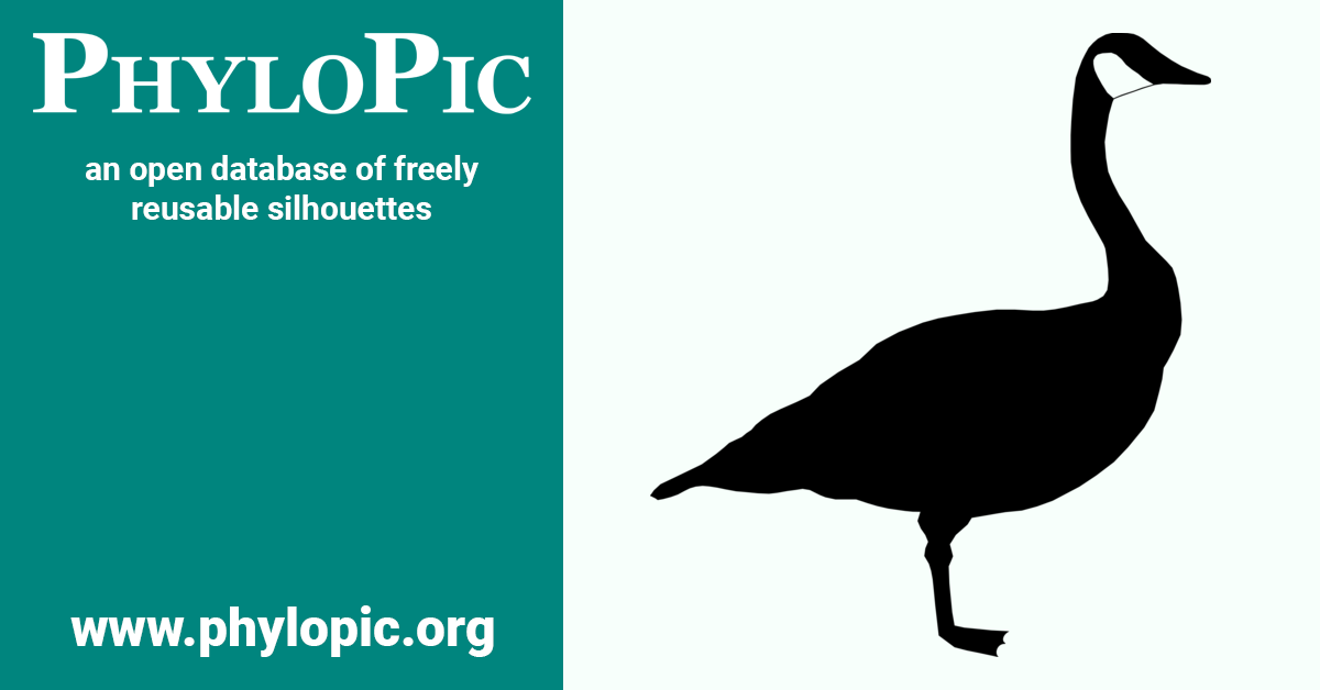 PhyloPic Branta canadensis by Xavier GirouxBougard (PDM 1.0)