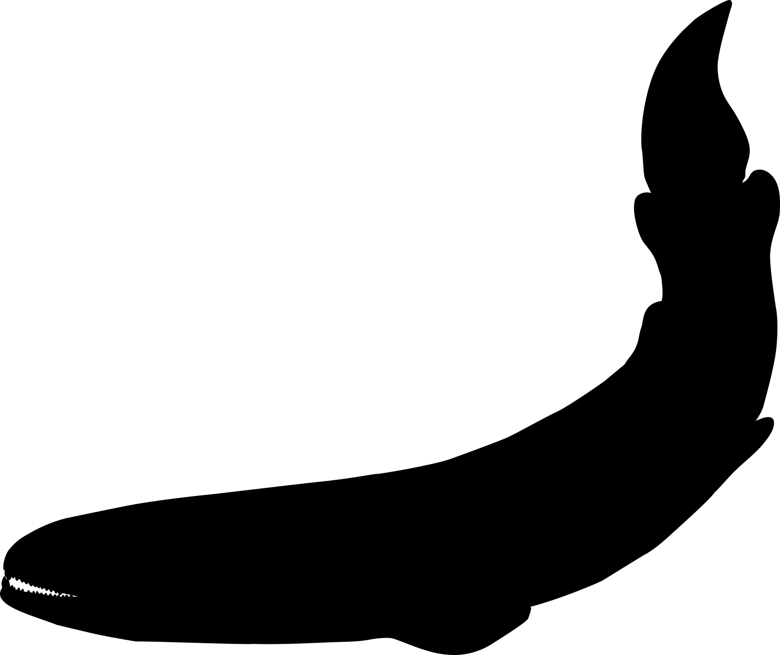 Barameda