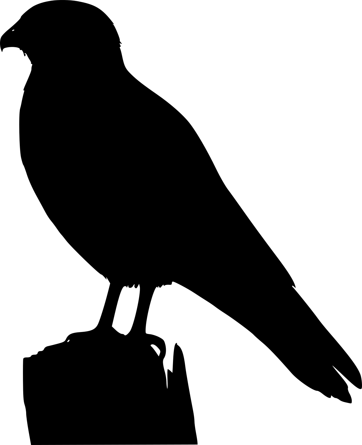 Daptrius chimango
