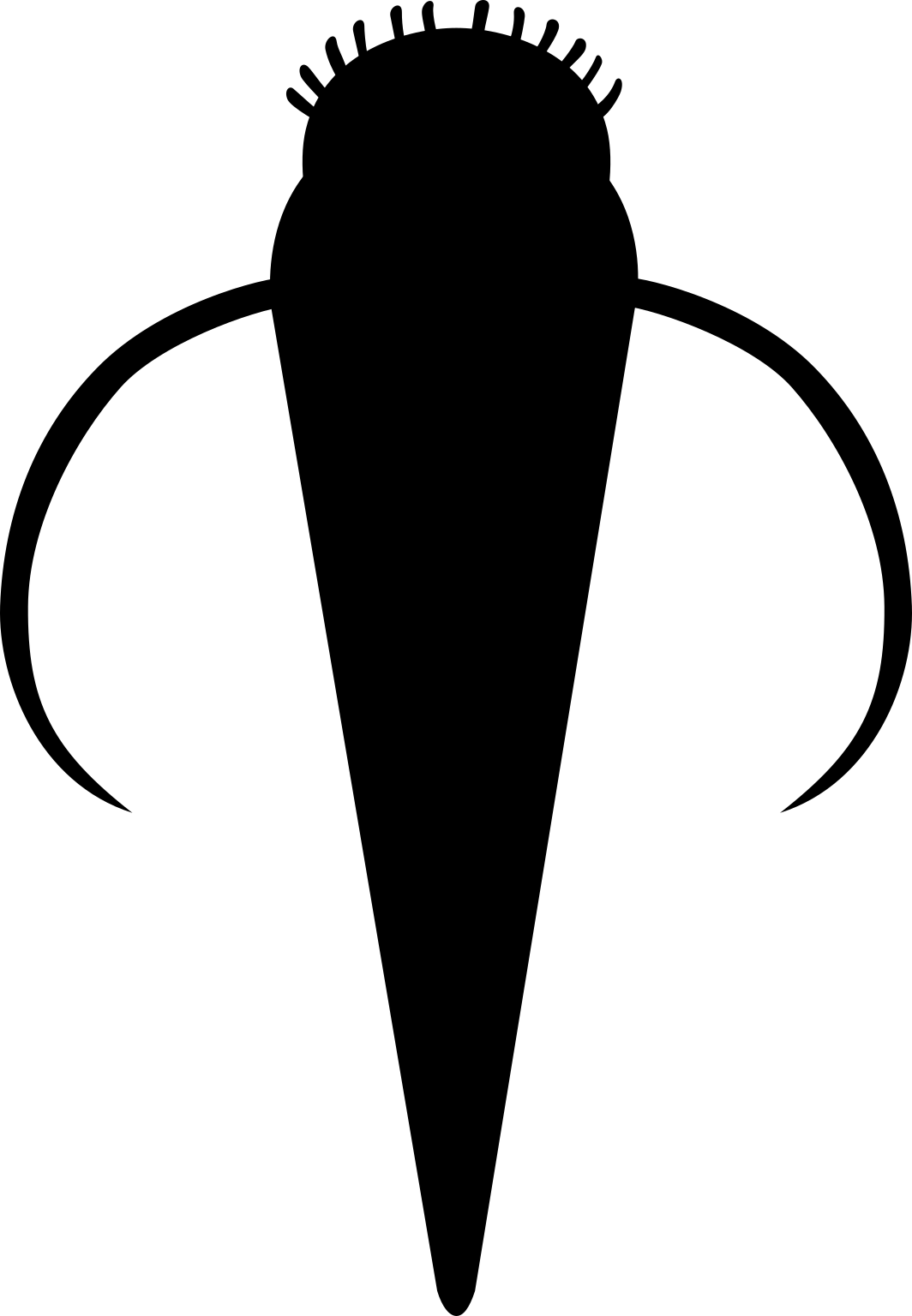 Haplophrentis carinatus