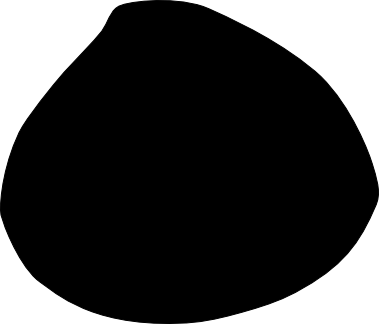 Nucula nucleus