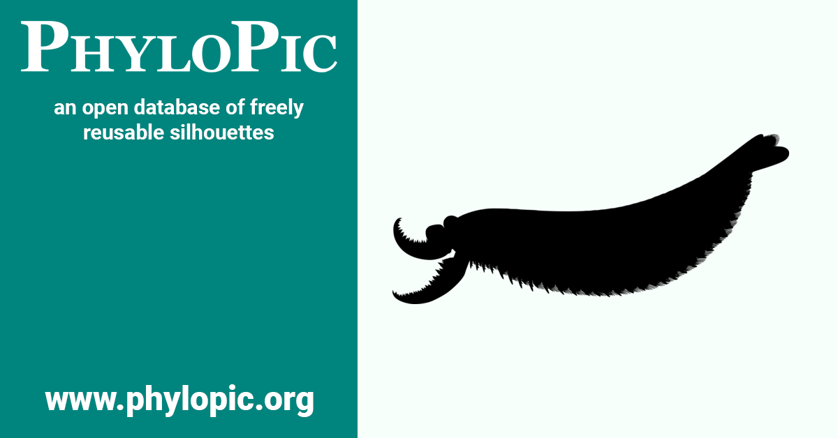 Strabops Arthropoda - PhyloPic