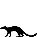 Stenoplesictis minor