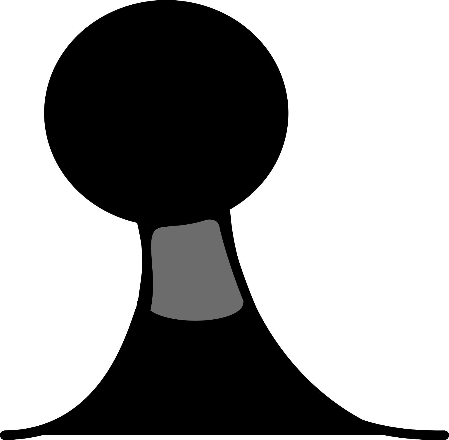Fonticula alba