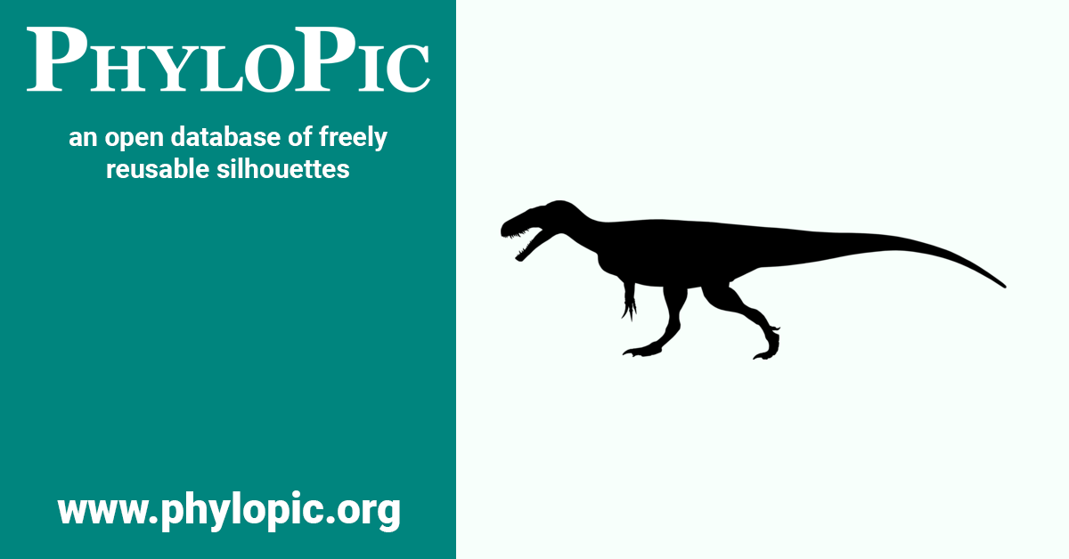 Megalosaurus bucklandii by Scott Hartman (CC BYNCSA 3.0) PhyloPic