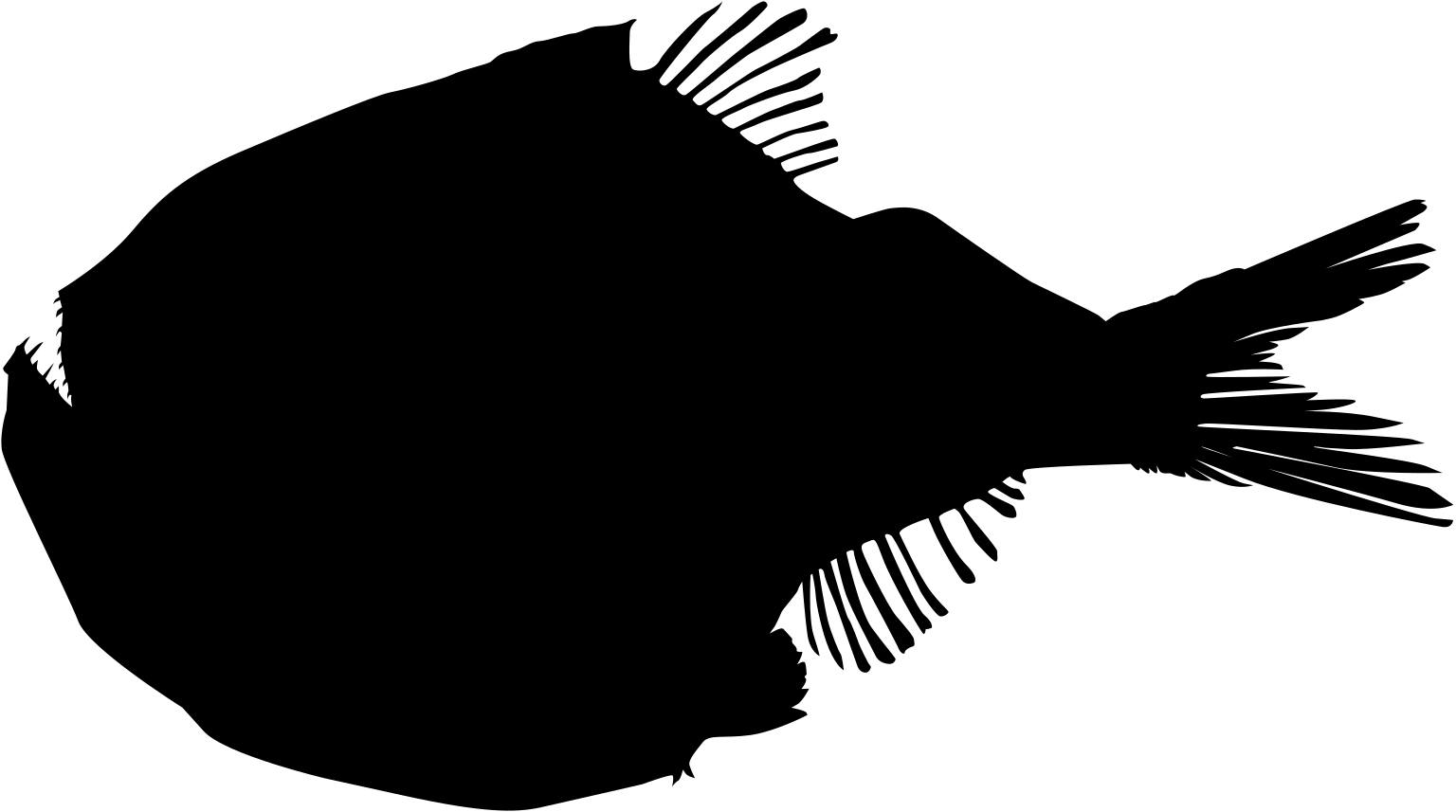 Argyropelecus olfersii