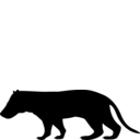 Megistotherium osteothlastes