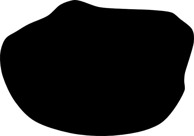 Malletia inaequilateralis