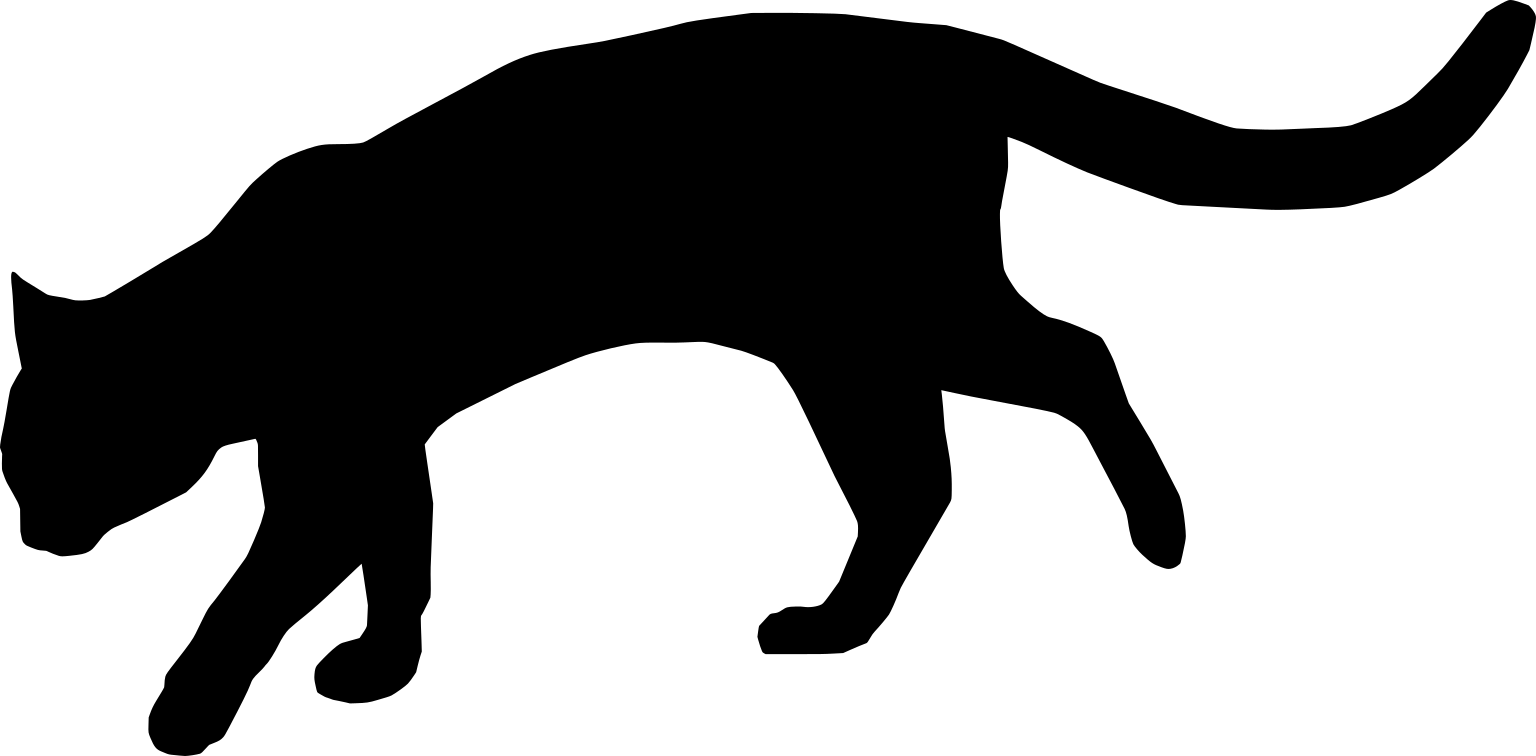 Leopardus guttulus