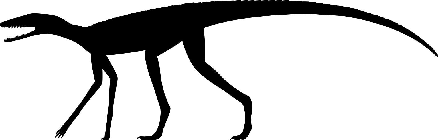 Terrestrisuchus gracilis