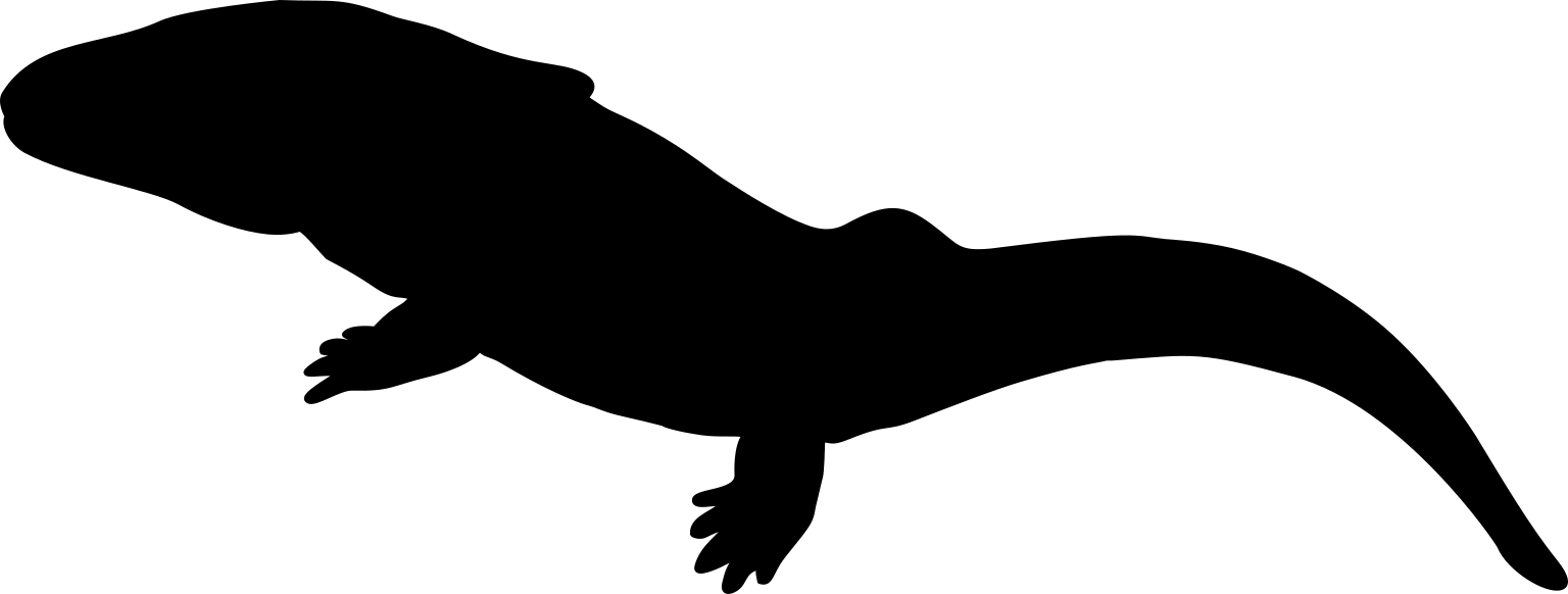 Capetus palustris