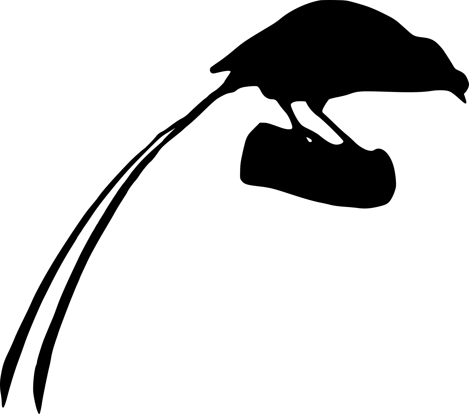 Astrapia mayeri