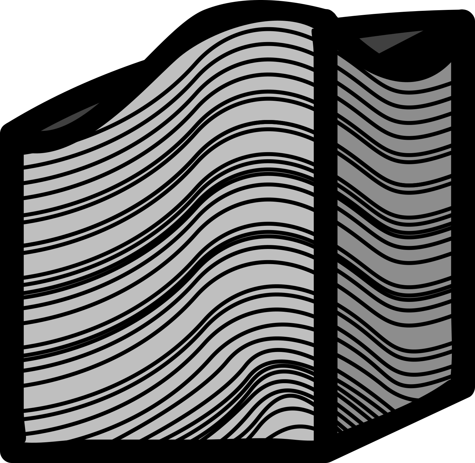 Cyanobacteria