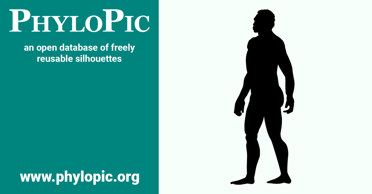 Homo sapiens idaltu by T. Michael Keesey (CC0 1.0) - PhyloPic