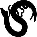 Schistosoma mansoni