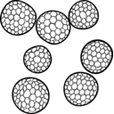 Mycosarcoma maydis