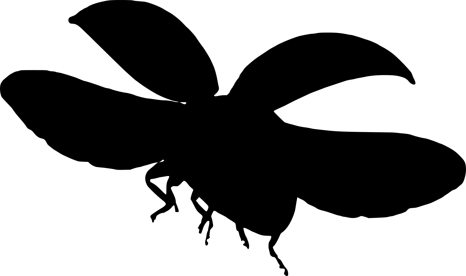 Coccinella