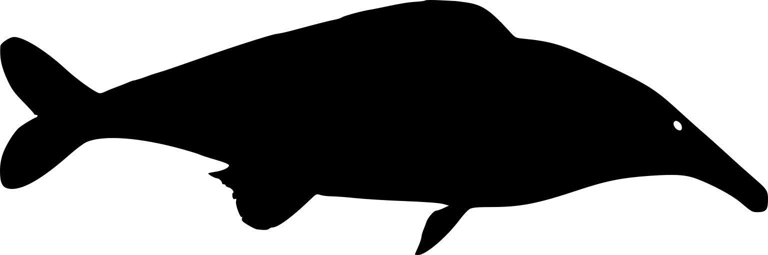 Mormyrus rume proboscirostris