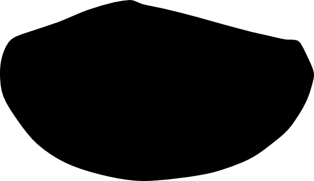 Orthoyoldia solenoides