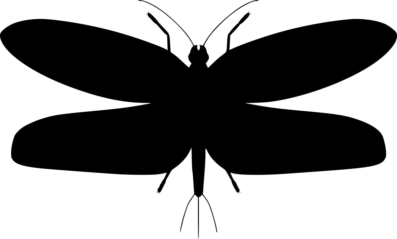 Bojophlebia prokopi