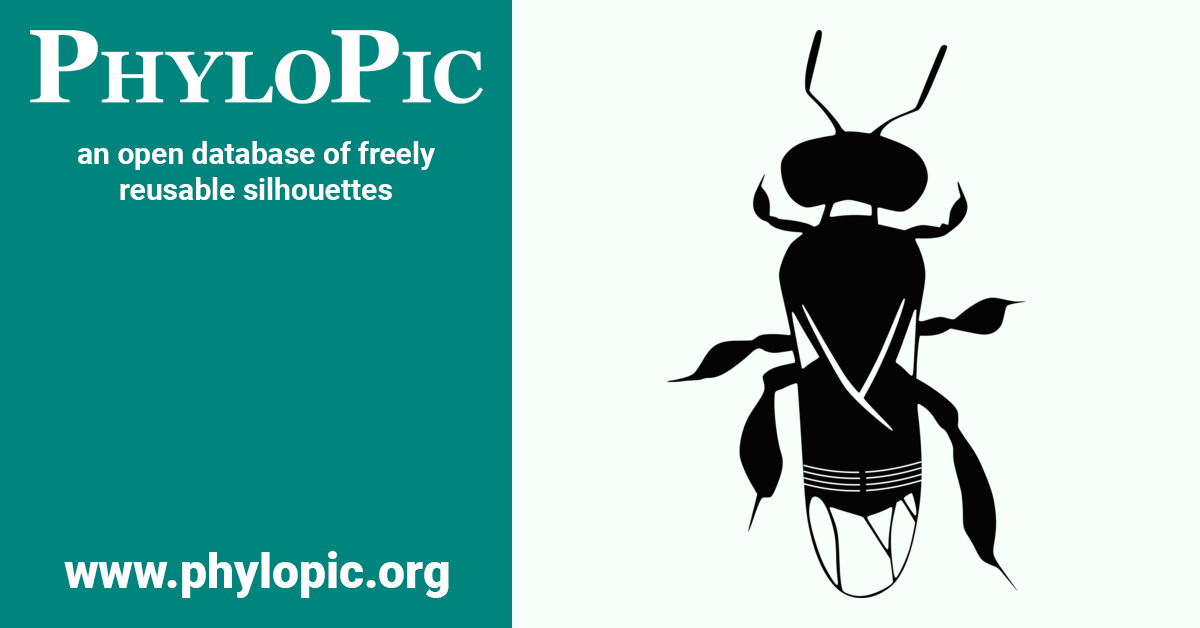 Scaptotrigona polysticta by Meliponicultor Itaymbere (CC BYSA 3.0