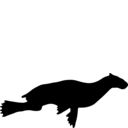 Enaliarctos emlongi