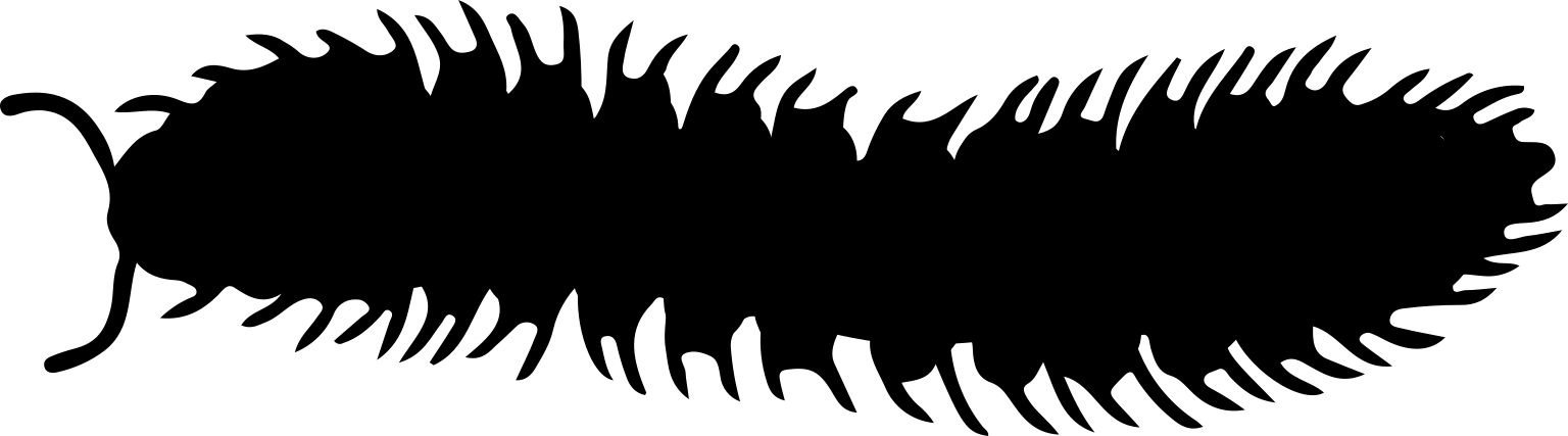 Polydesmidae