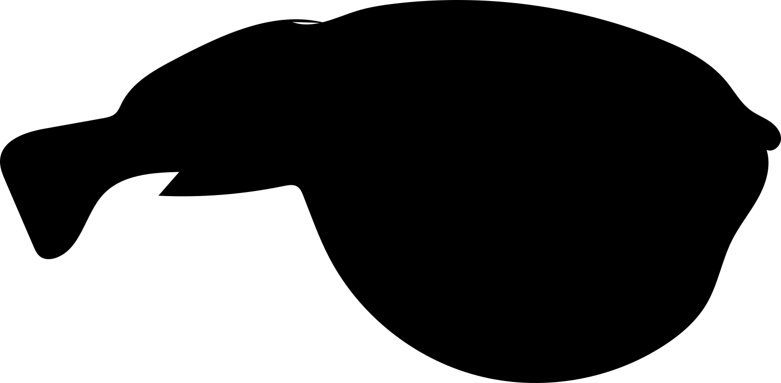 Takifugu ocellatus