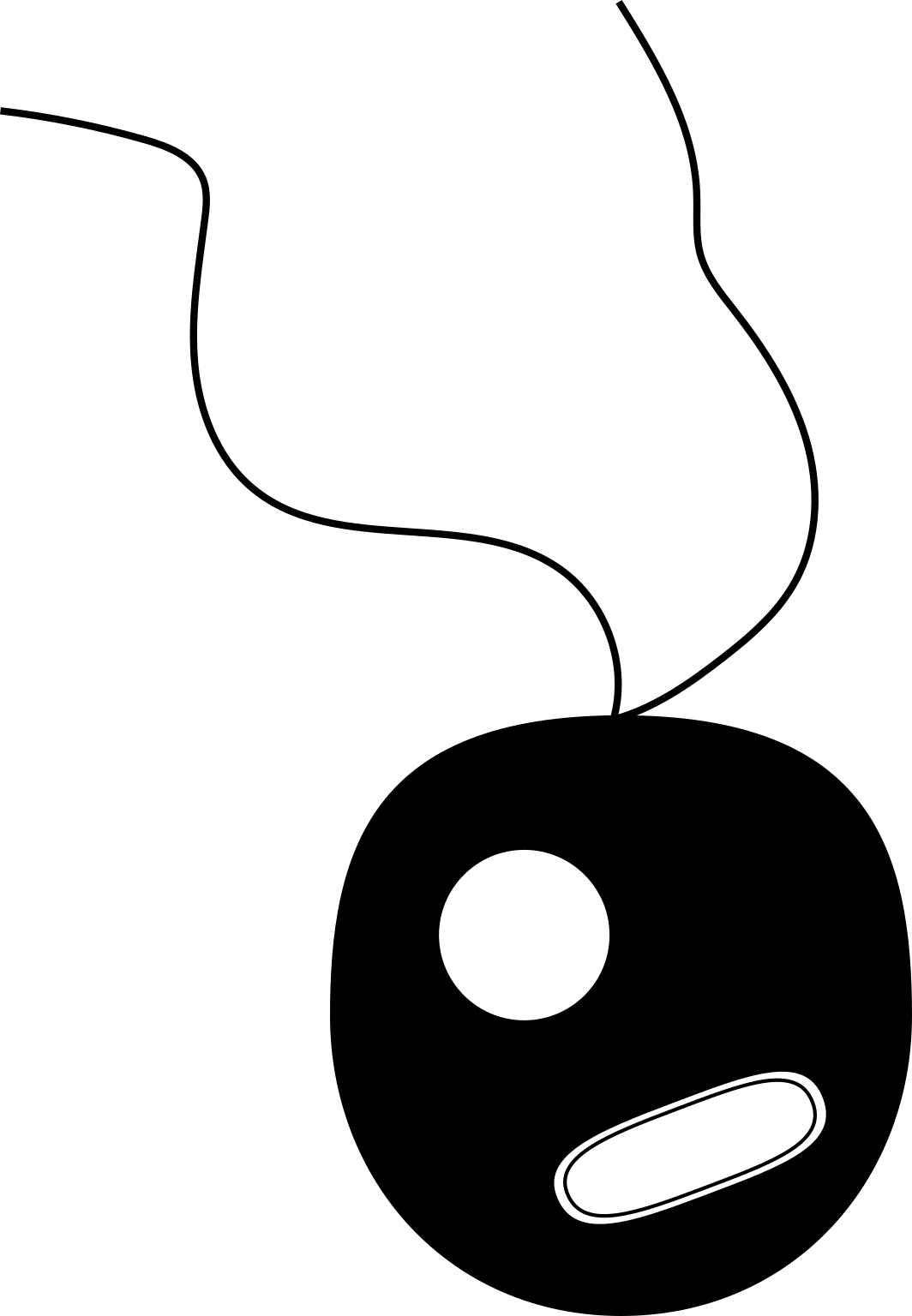 Archaeplastida