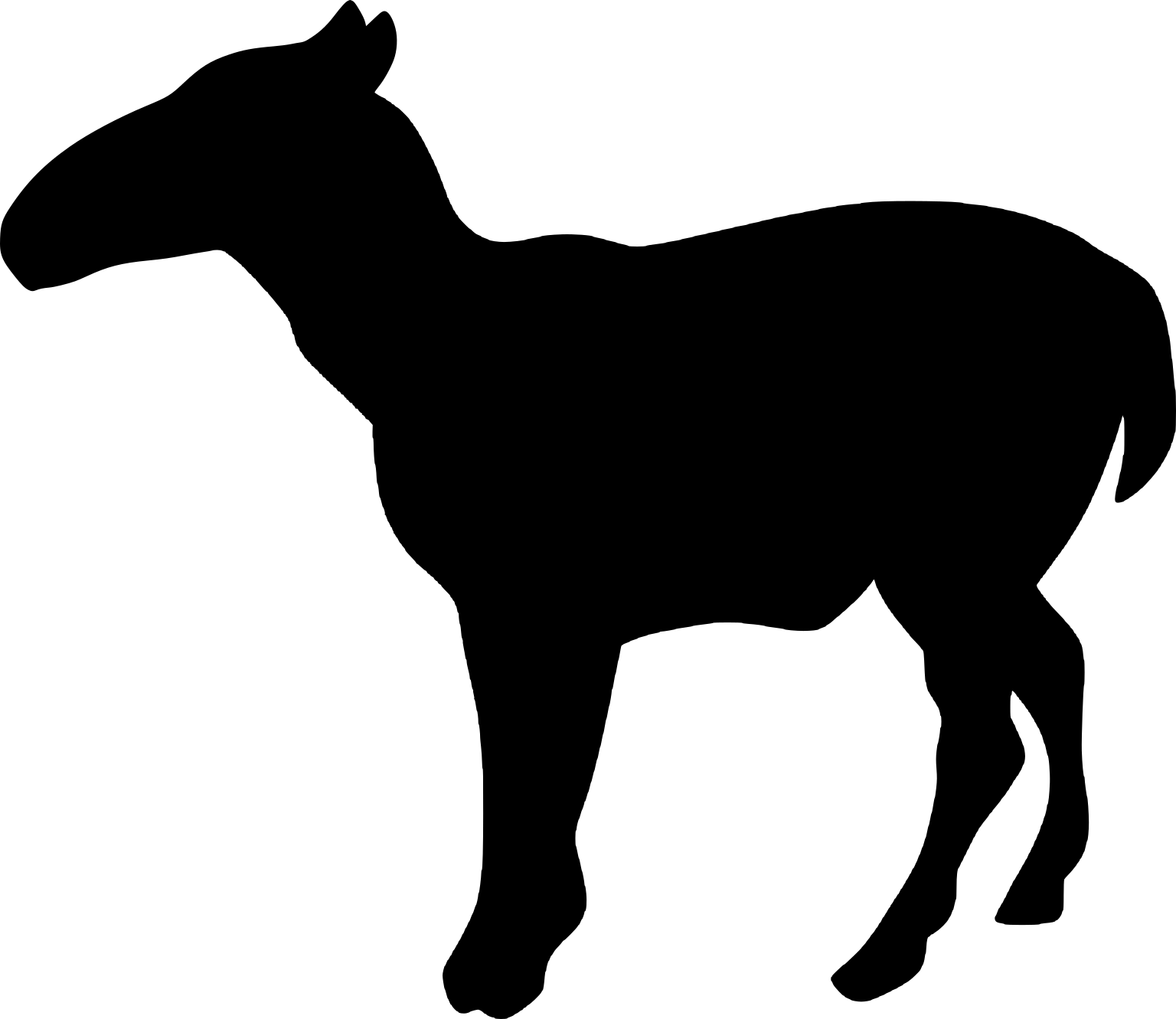 Leptotragulus