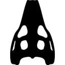 Shamosuchus