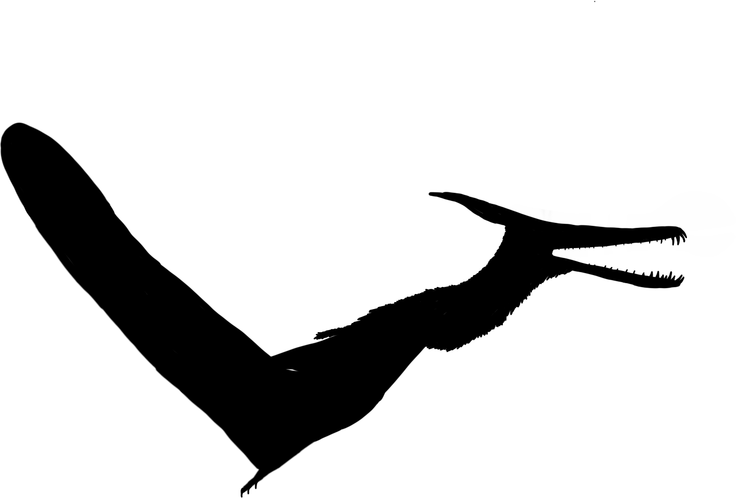 Ludodactylus sibbicki