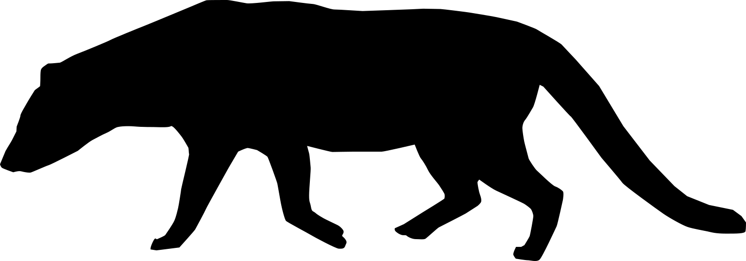 Viverra